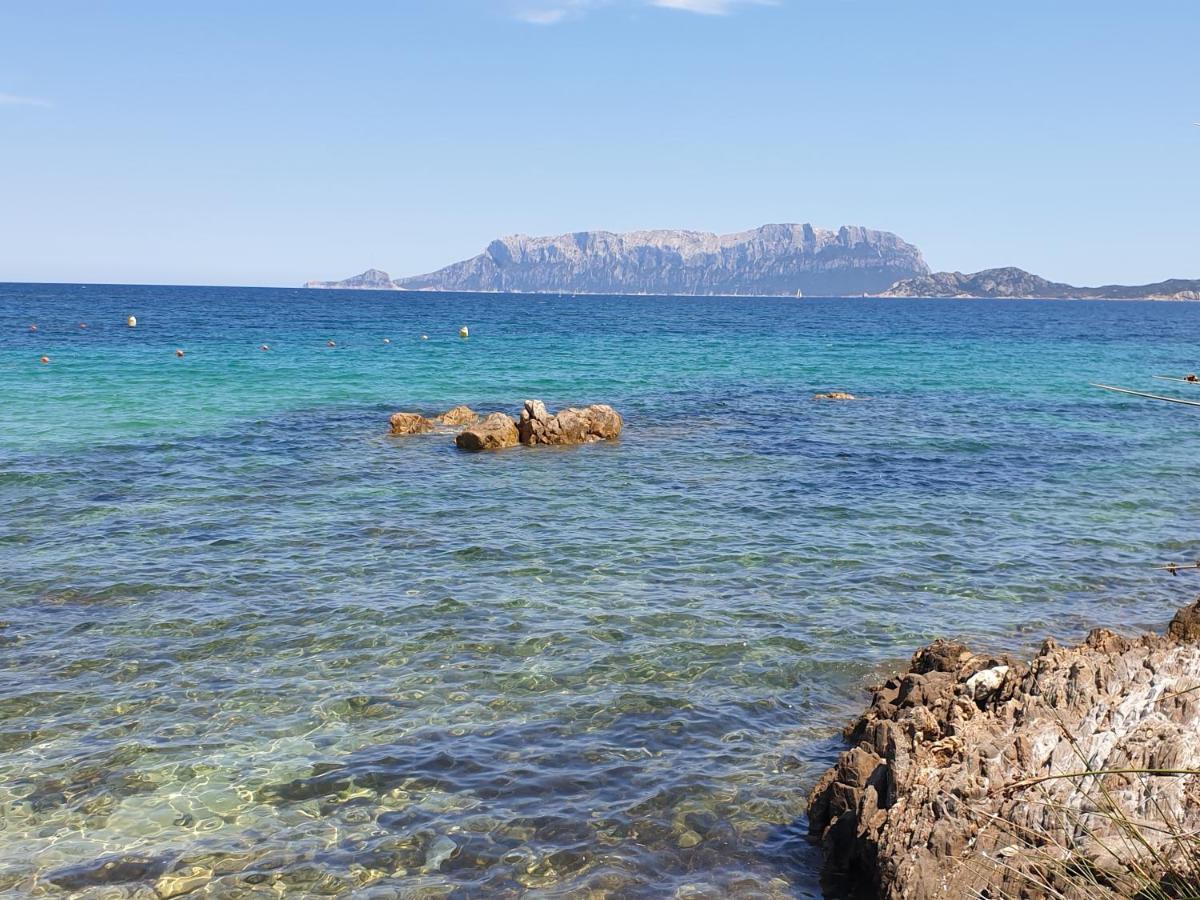 Home On Sardinia Beach Olbia Exteriör bild