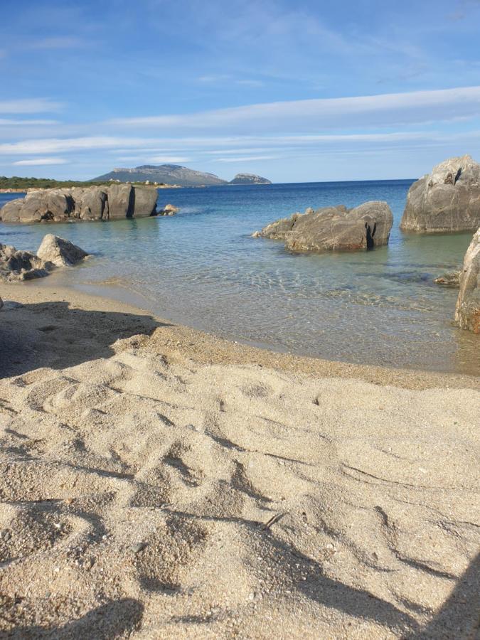 Home On Sardinia Beach Olbia Exteriör bild