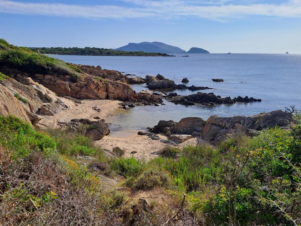 Home On Sardinia Beach Olbia Exteriör bild